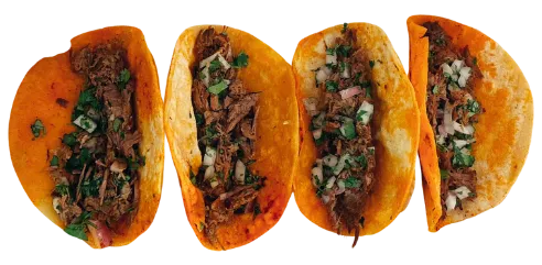 Birria Tacos